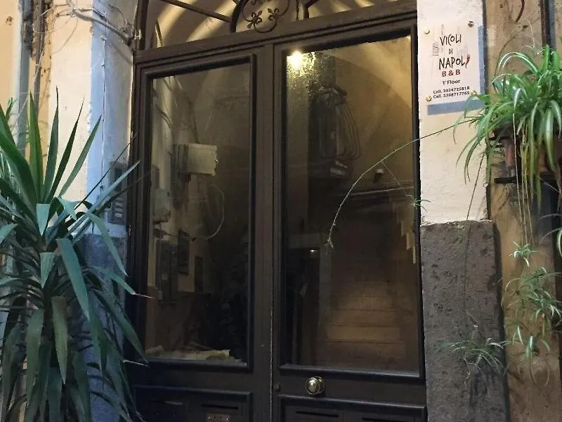 Vicoli Di Napoli B&B 3*,  İtalya